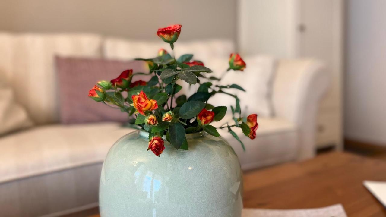 Ferienwohnung Sonnenblume バーベ エクステリア 写真